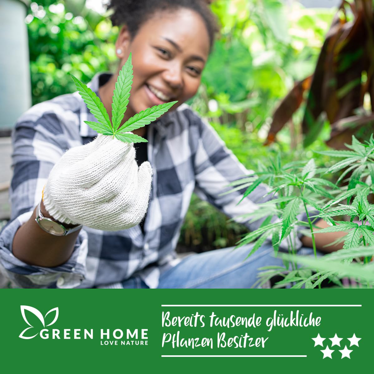 Green Home Grow Erde + Dünger Wachstum/Blüte Set - Franken Group