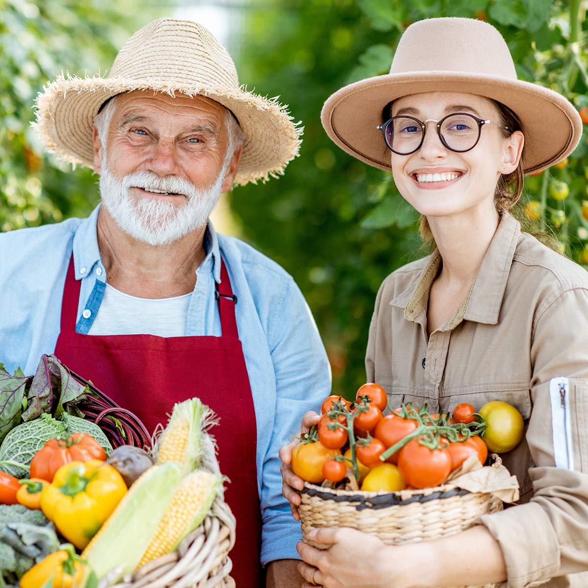 Green Home BIO Dünger 1 Liter - Franken Group