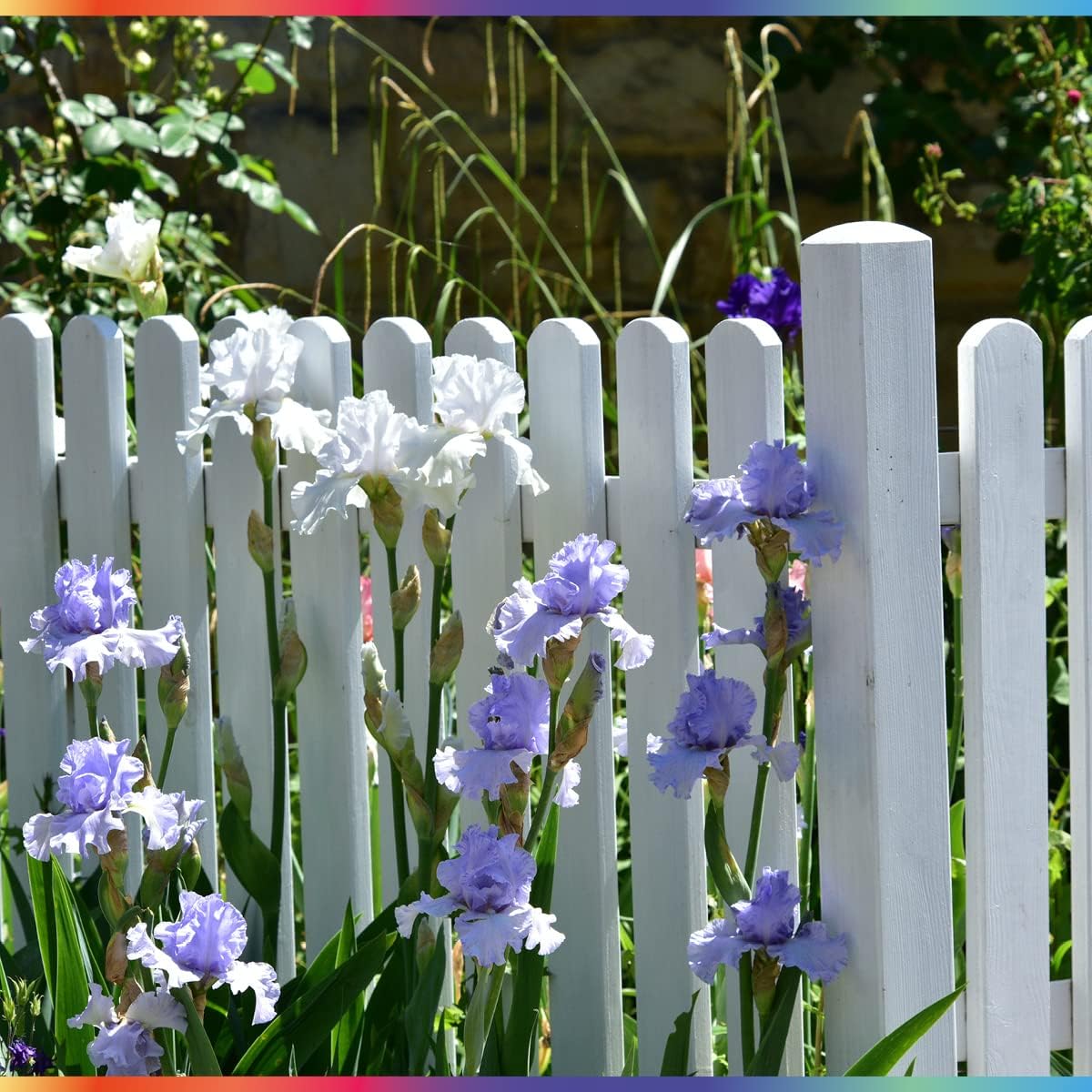 My Paint Holzlasur Außen | Franken Group