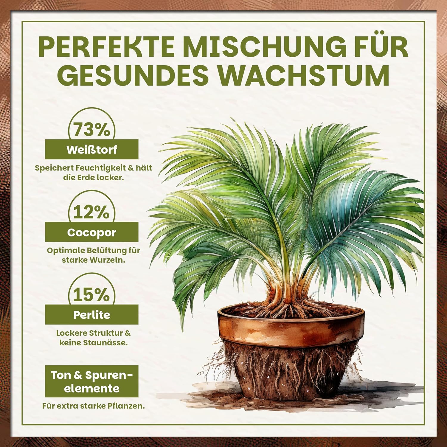 Green Home Grünpflanzen- & Palmenerde | Franken Group