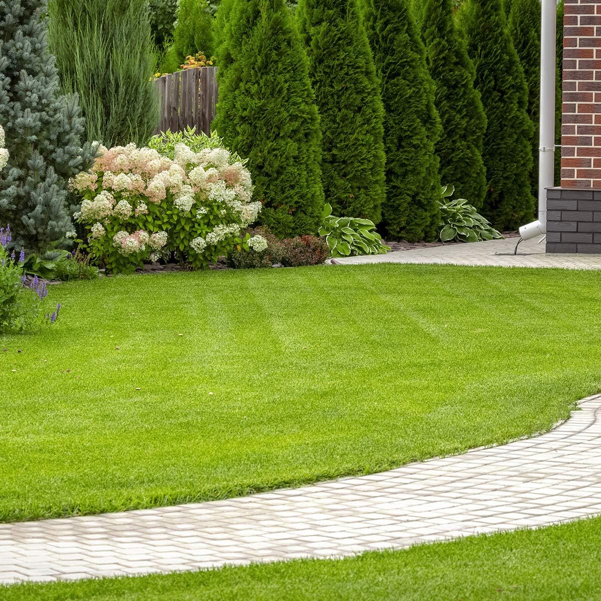 Green Home Rasendünger | Franken Group