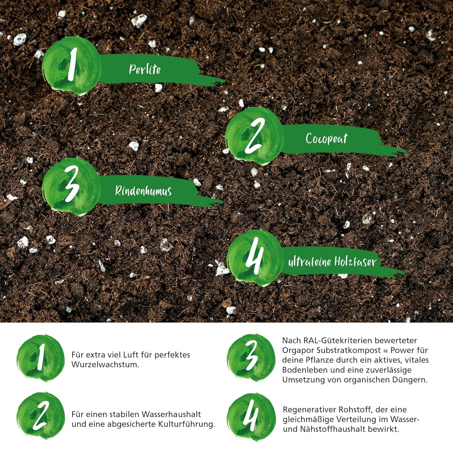 Green Home Grow Erde + Dünger Wachstum/Blüte Set - Franken Group