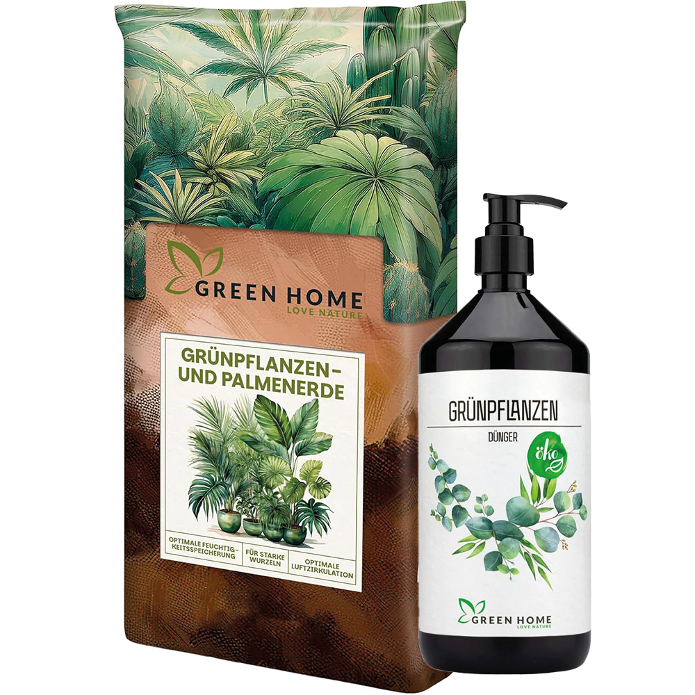 Green Home Grünpflanzen Bundle