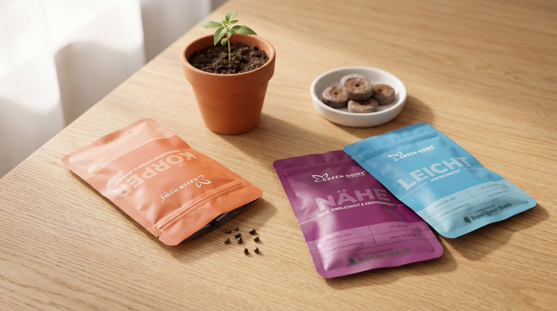 Cannabis Samen Starter-Sets mit Quelltabletten auf Holzoberfläche