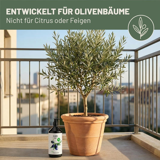 Green Home Dünger Olivenbaum 1 Liter