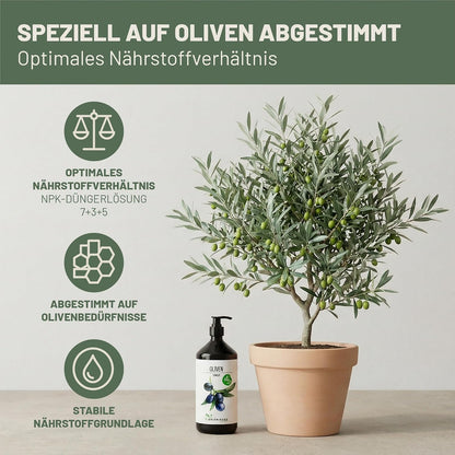 Green Home Dünger Olivenbaum 1 Liter