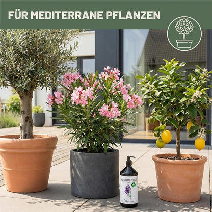 Green Home Dünger Mediterrane Pflanzen 1 Liter