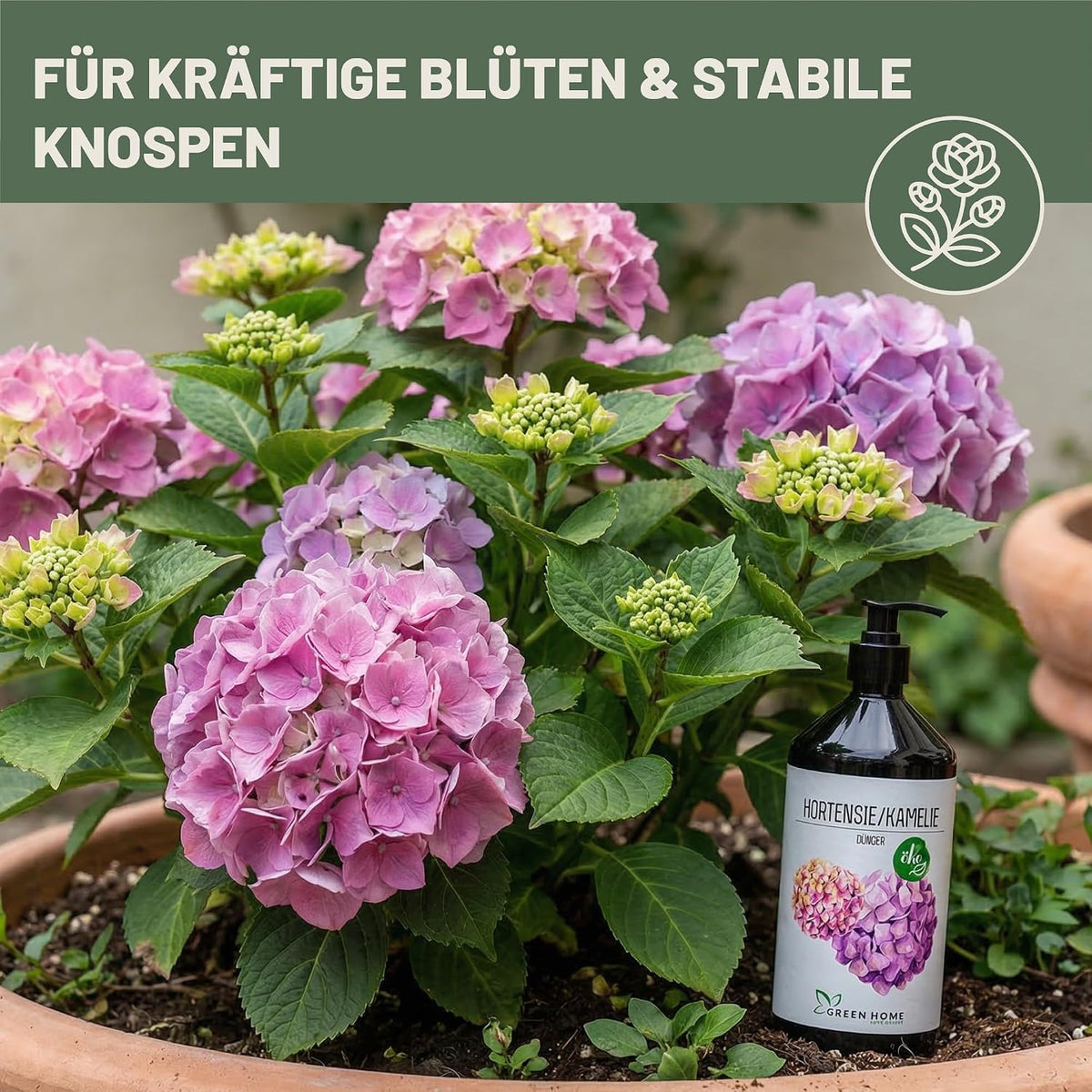 Green Home Dünger Hortensien 1 Liter