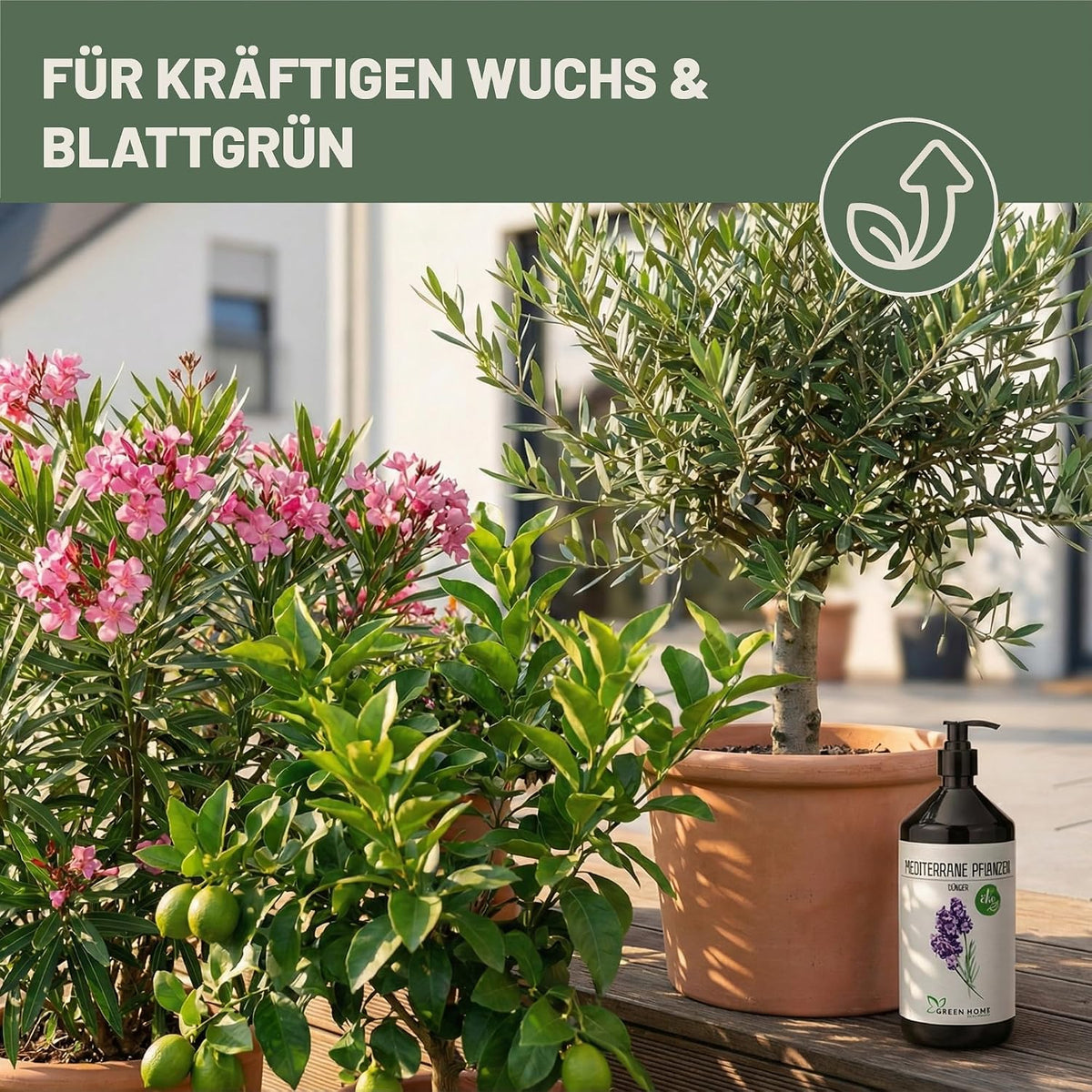 Green Home Dünger Mediterrane Pflanzen 1 Liter