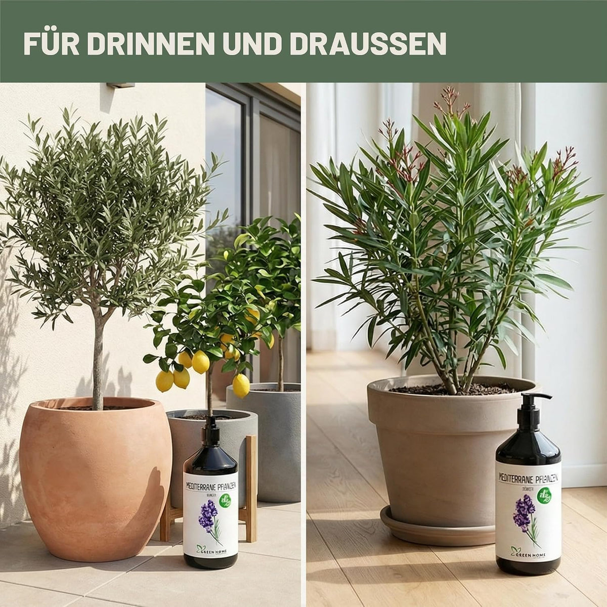 Green Home Dünger Mediterrane Pflanzen 1 Liter