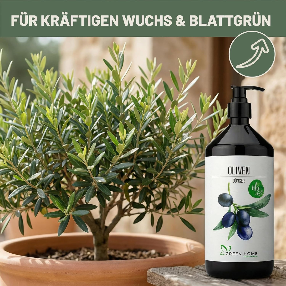 Green Home Dünger Olivenbaum 1 Liter