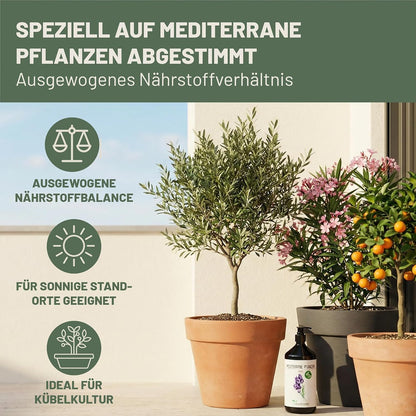 Green Home Dünger Mediterrane Pflanzen 1 Liter