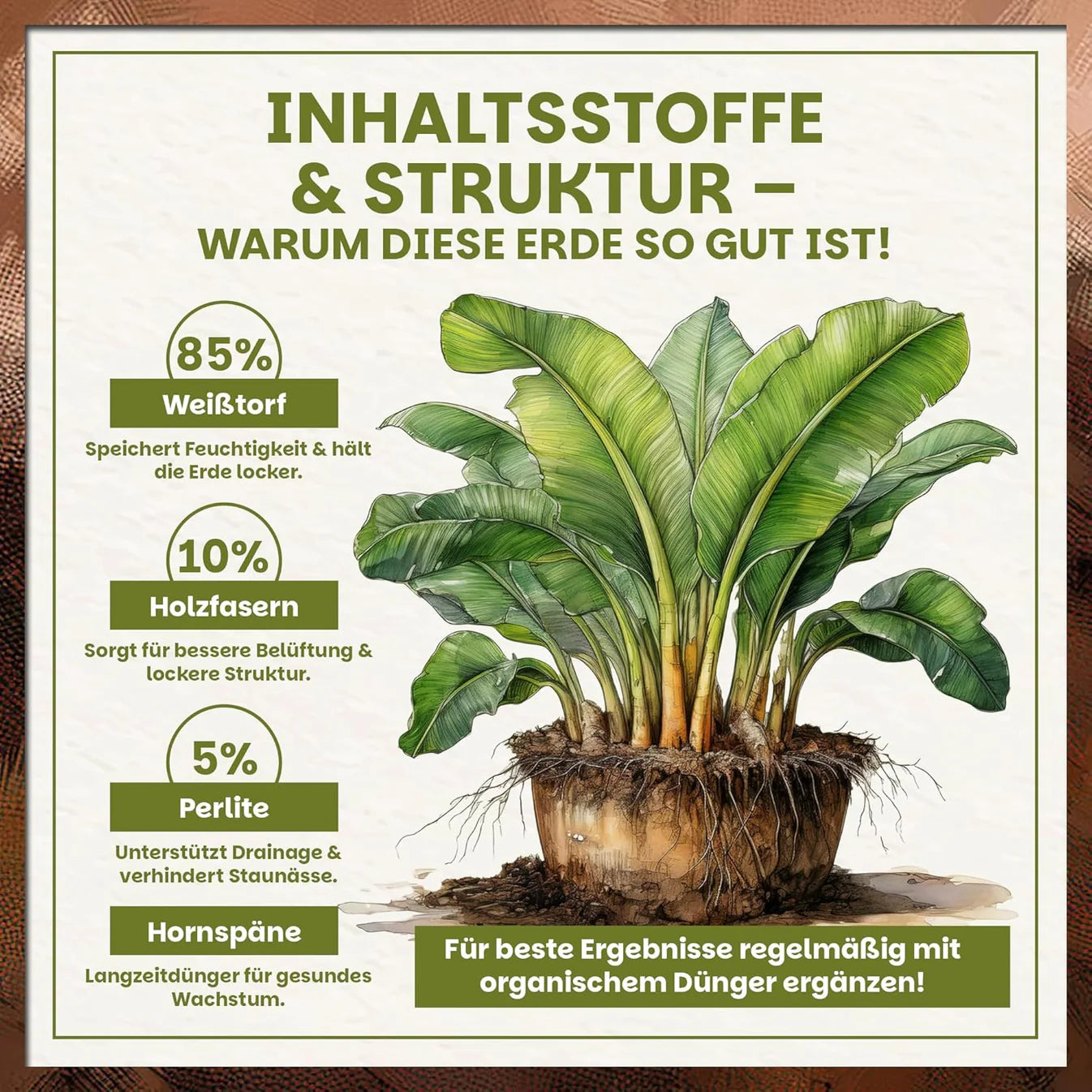 Zusammensetzung der Green Home Bananenerde mit Weißtorf, Holzfasern, Perlite und Hornspänen für optimale Pflanzenversorgung.