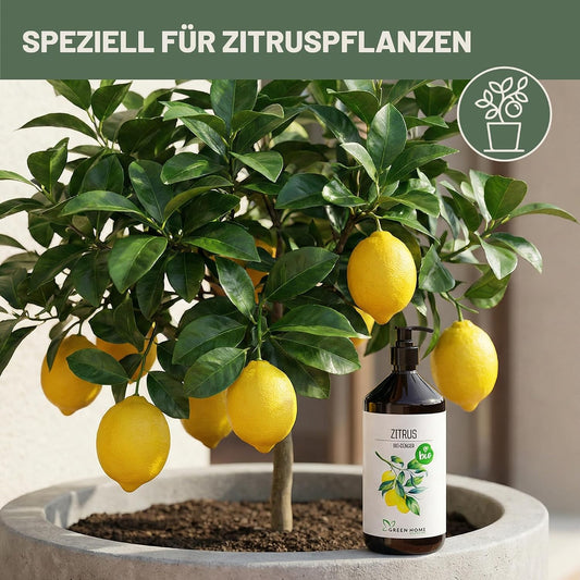 Green Home Bio Dünger Zitrus 1 Liter