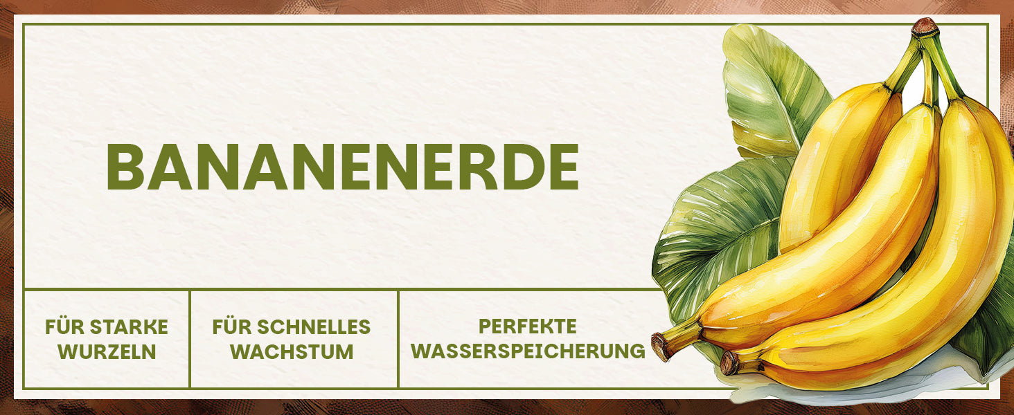 Banner mit Schriftzug Bananenerde sowie Hinweisen auf starke Wurzeln, schnelles Wachstum und perfekte Wasserspeicherung neben einer Illustration von Bananen.