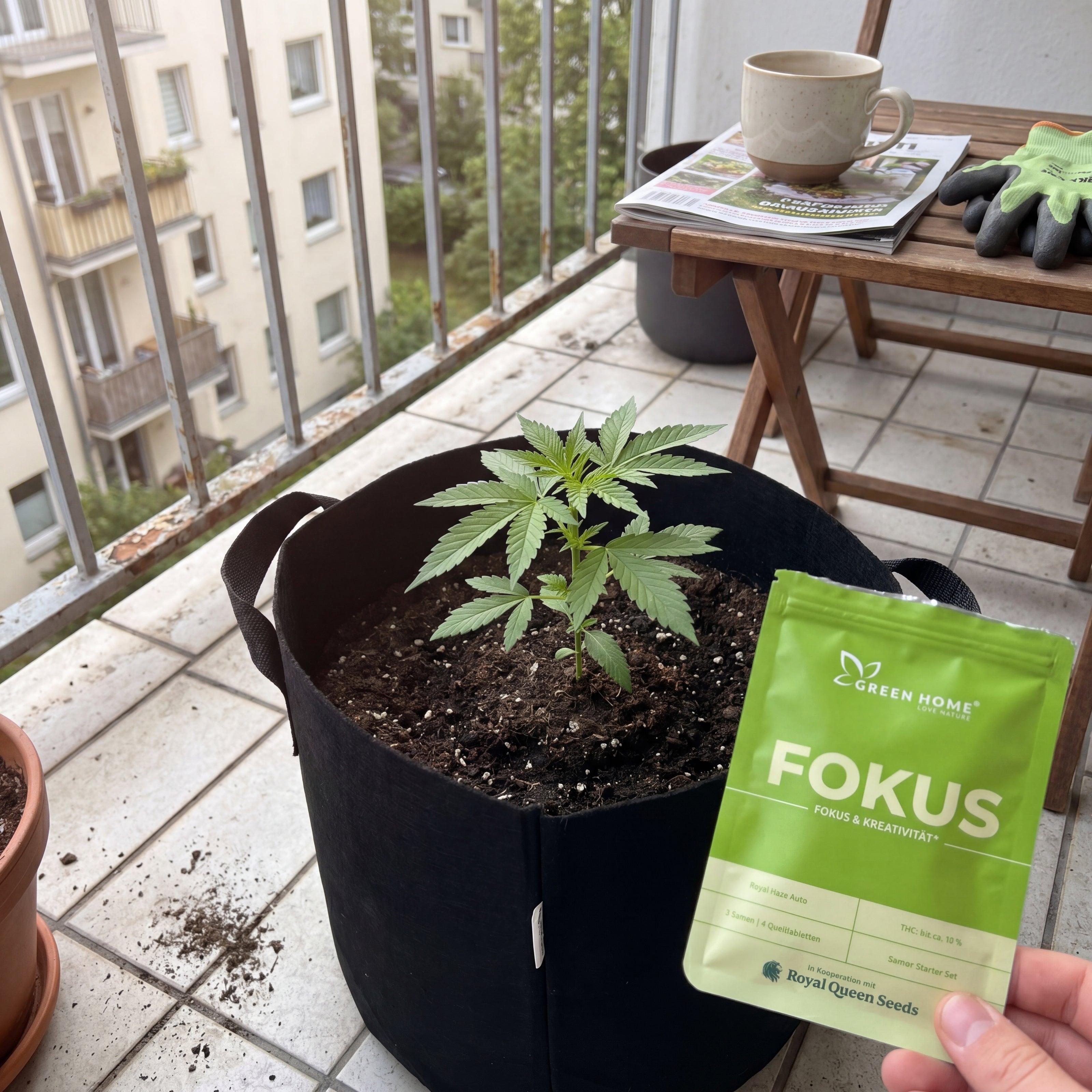 FOKUS Outdoor Grow Set in Anwendung, Cannabis-Keimling im Filztopf auf Balkon mit Green Home FOKUS Samentüte