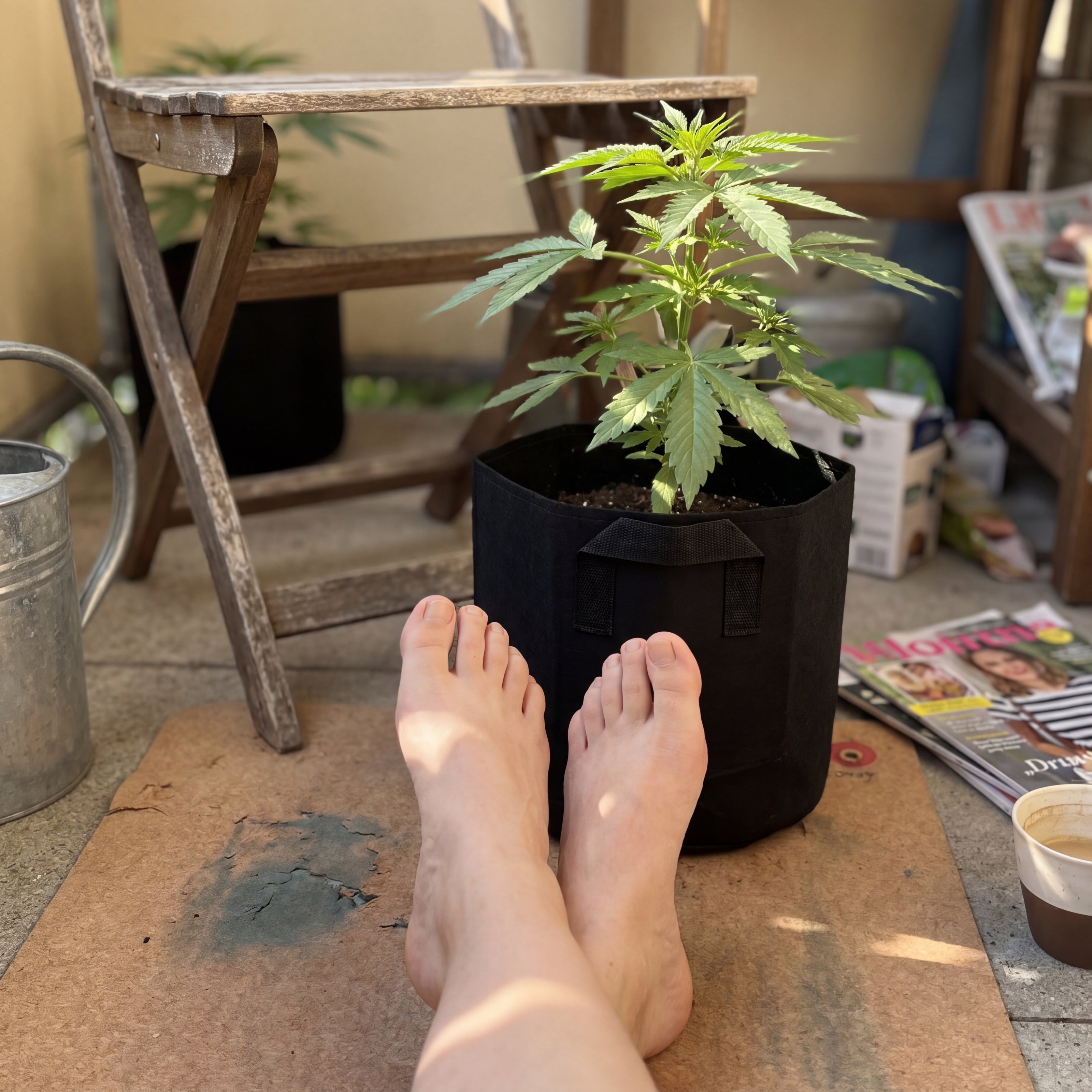 Barfüße auf Yogamatte vor Cannabis-Pflanze Royal Cheese Automatic im KÖRPER Outdoor Grow System