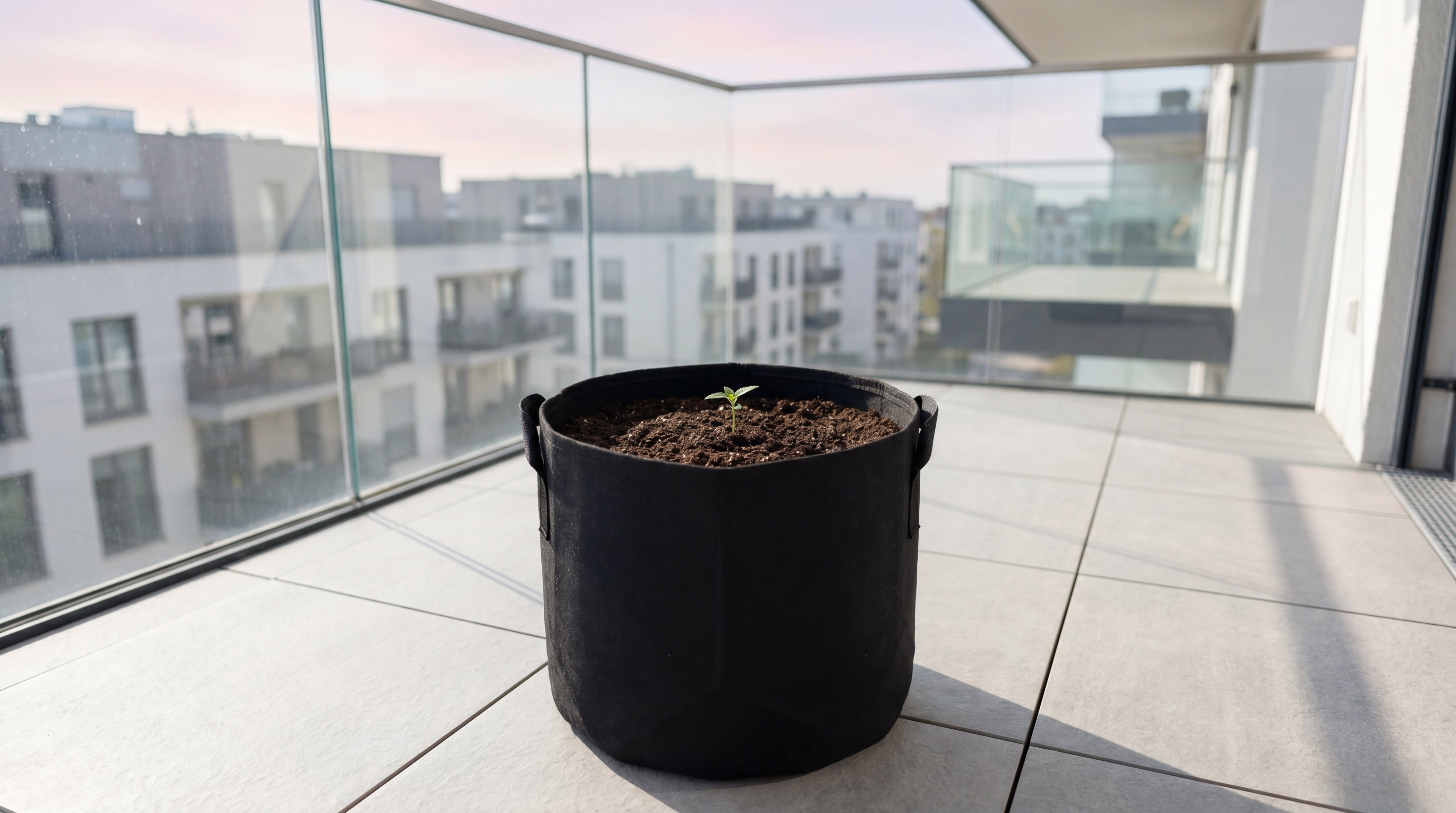 Vorher Bild LEICHT Cannabis Outdoor Grow System: junger Keimling im Filztopf auf modernem Balkon zu Saisonbeginn