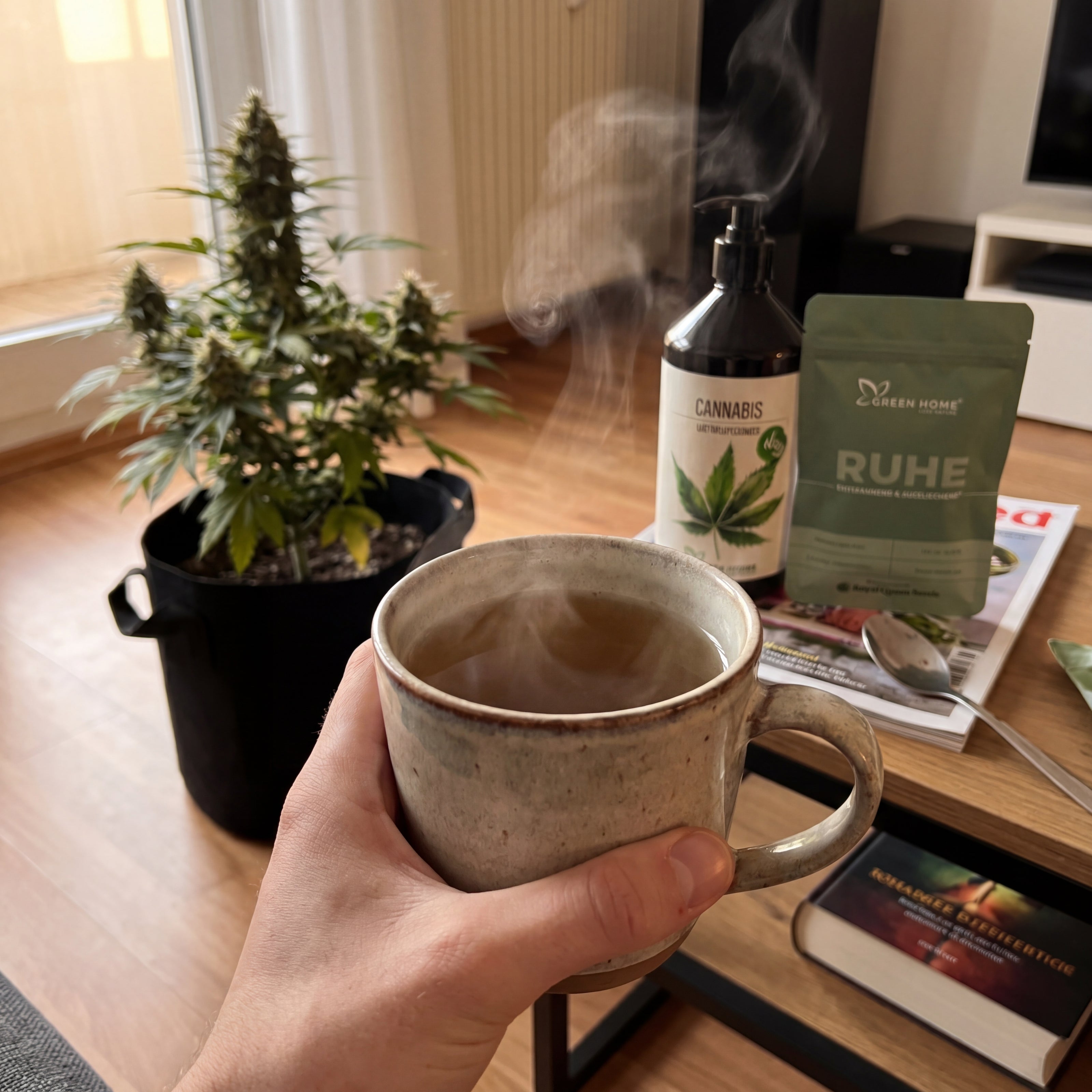 Hand mit dampfender Teetasse vor Cannabis-Pflanze Northern Lights Auto im RUHE Outdoor Grow System