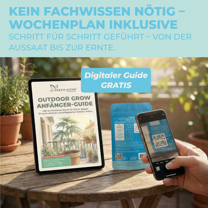 Digitaler Outdoor Grow Anfänger-Guide – Cannabis Samen keimen Anleitung per QR-Code