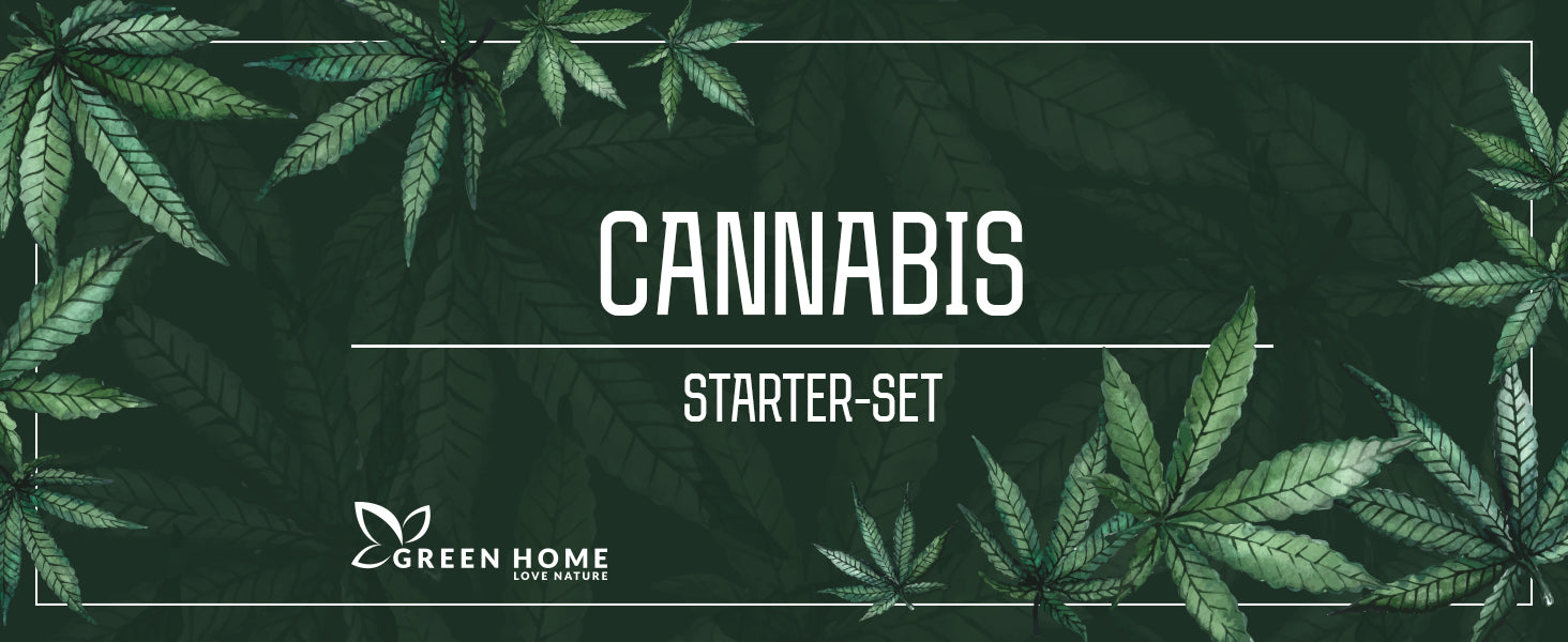 Cannabis Starter-Set Titelbild von Green Home mit Pflanzenmotiv – ideales Komplettset für erfolgreichen Start in den Cannabis-Anbau.