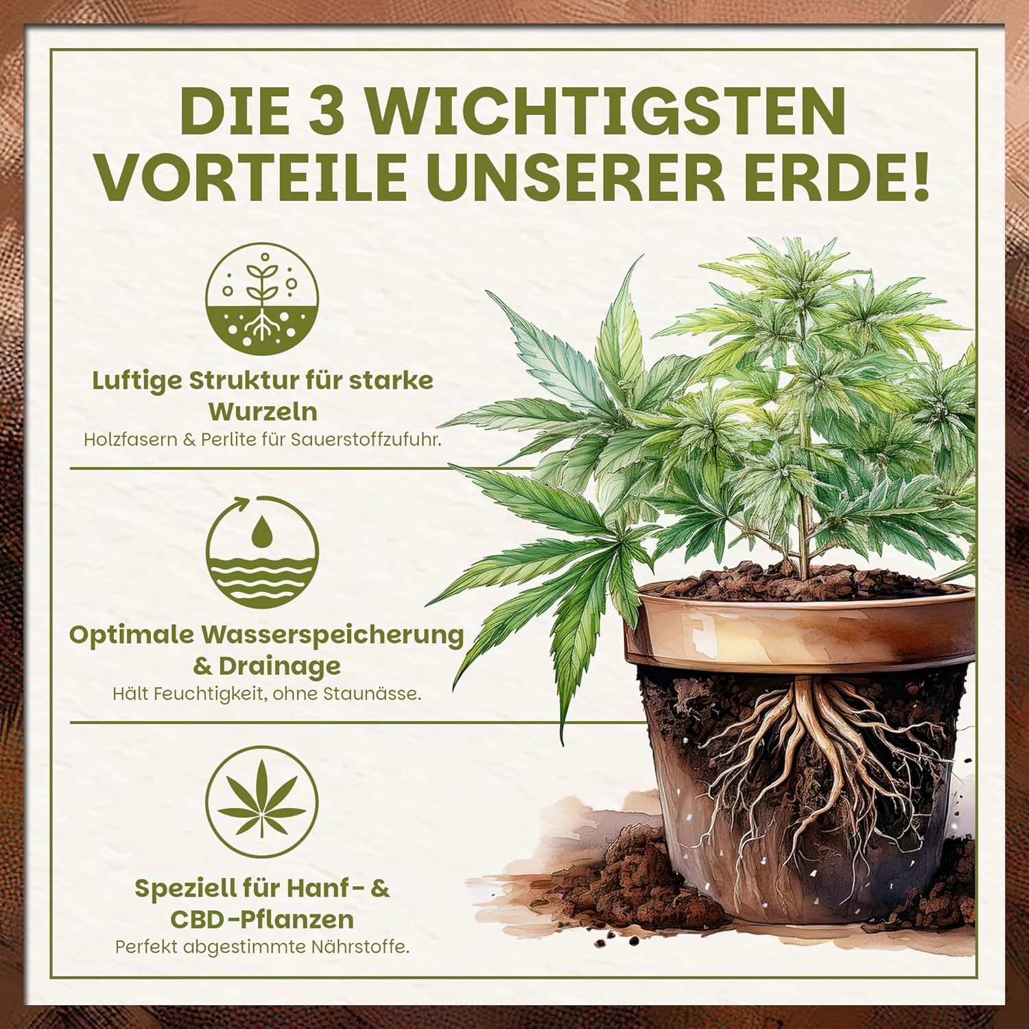 Luftige Cannabis-Erde mit optimaler Wasserspeicherung für starke Wurzeln und gesundes Wachstum