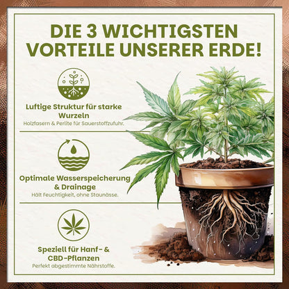 Luftige Cannabis-Erde mit optimaler Wasserspeicherung für starke Wurzeln und gesundes Wachstum