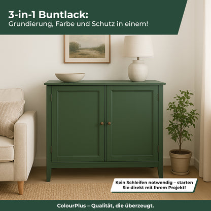 Gruen gestrichener Holzschrank im Wohnraum als Anwendungsbeispiel fuer ColourPlus 3 in 1 Buntlack