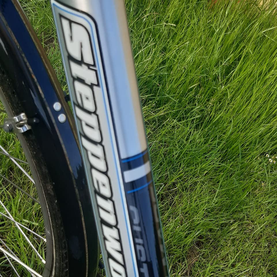 Gereinigter Fahrradrahmen mit glänzender Oberfläche und satten Farben als Nachher-Ergebnis.