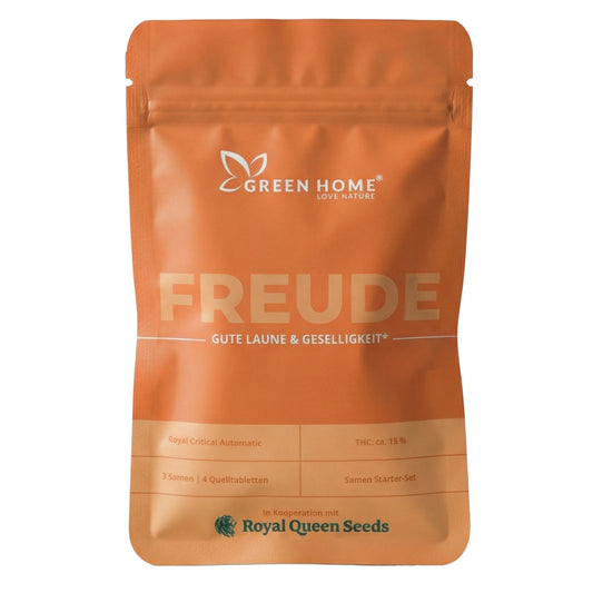 FREUDE Cannabis Starter Set – Royal Critical Automatic Autoflowering Samen Green Home