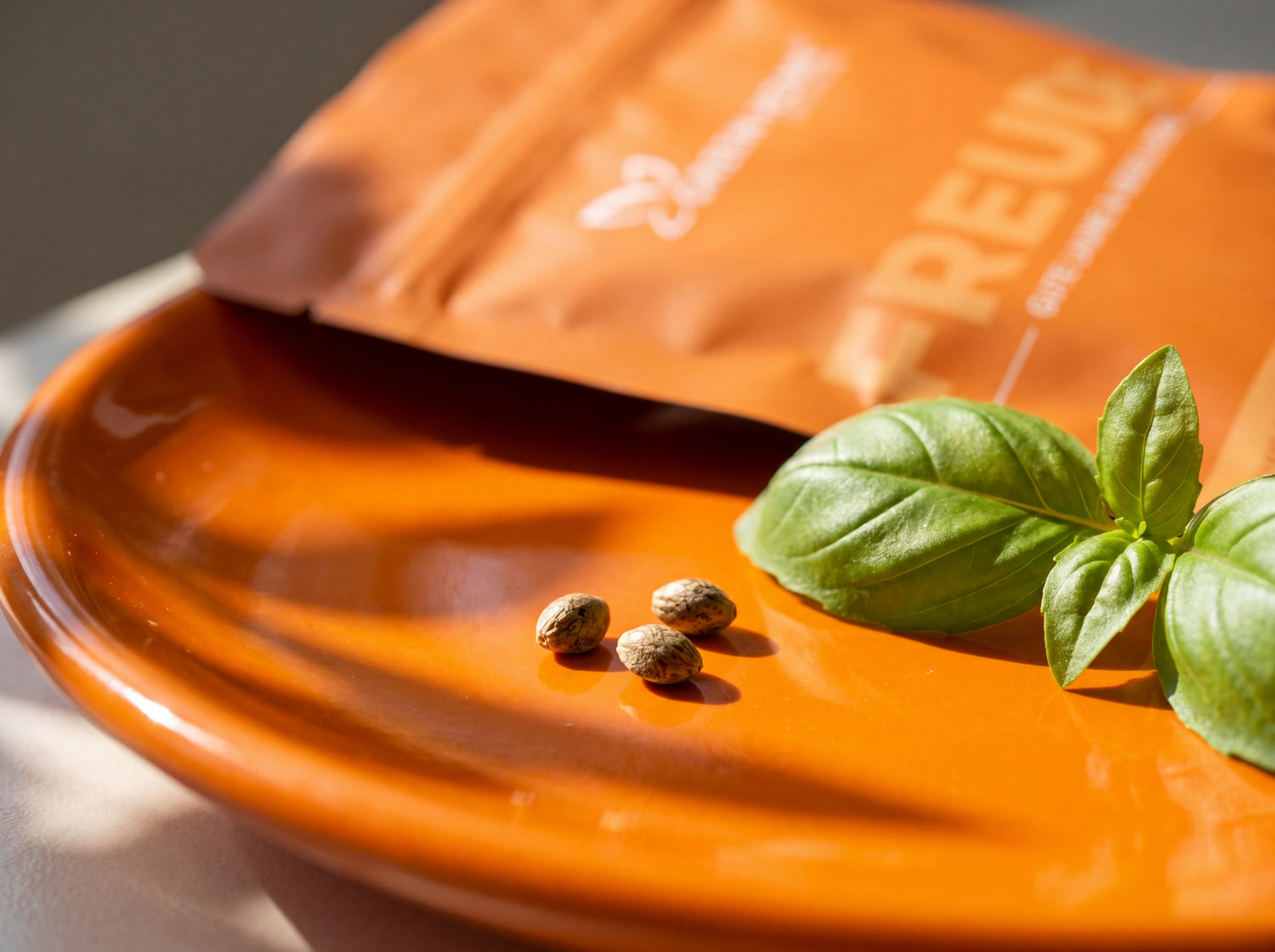 Drei Royal Critical Automatic Cannabis Samen auf orangem Teller – Premium-Genetik