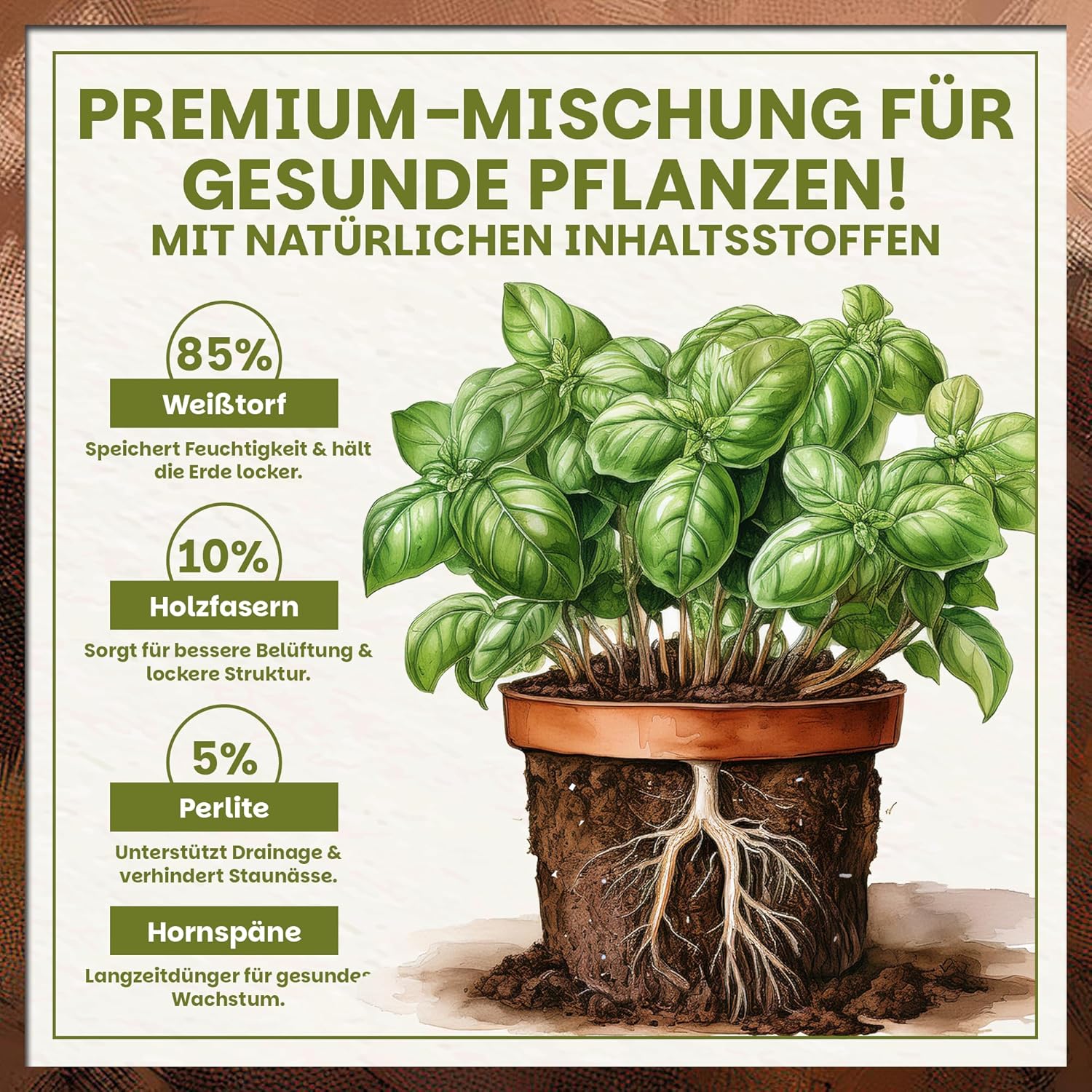 Infografik zur Zusammensetzung von Green Home Anzucht & Kräutererde mit natürlichen Inhaltsstoffen und schematisch dargestelltem Wurzelballen