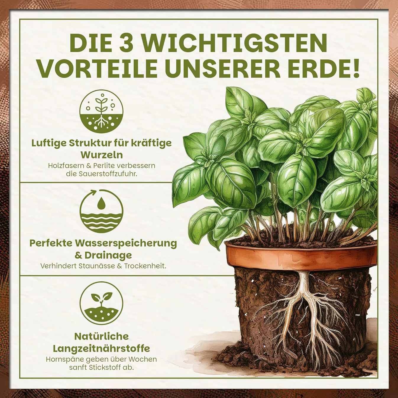 Vorteile der Green Home Kräutererde mit luftiger Struktur, optimaler Wasserspeicherung und natürlichen Langzeitnährstoffen