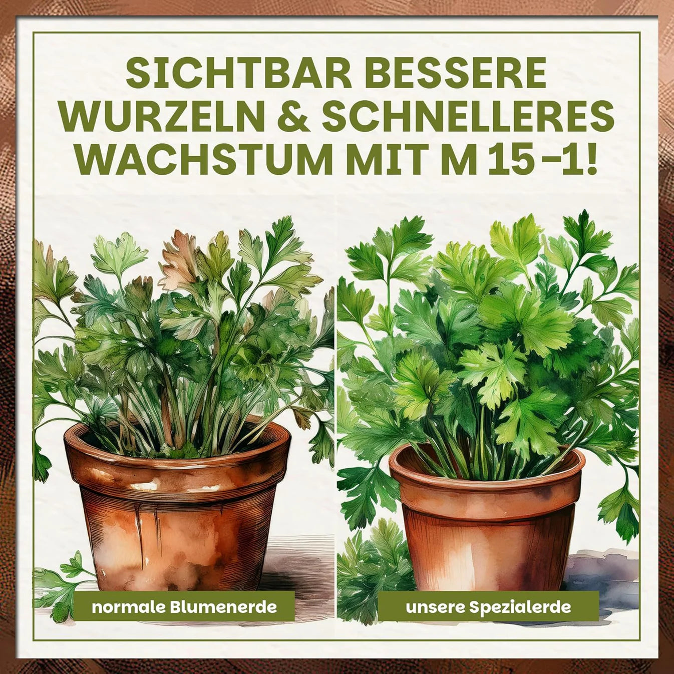 Vergleich Kräuterwachstum mit normaler Blumenerde und Green Home Spezialerde für kräftigere Wurzeln