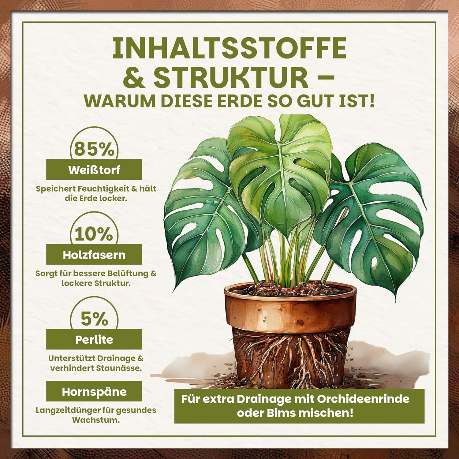Infografik zu Inhaltsstoffen und Struktur der Green Home Aroid Erde mit Anteilen von Weißtorf, Holzfasern und Perlite