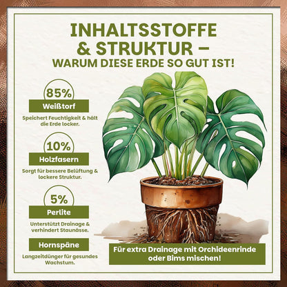 Infografik zu Inhaltsstoffen und Struktur der Green Home Aroid Erde mit Anteilen von Weißtorf, Holzfasern und Perlite