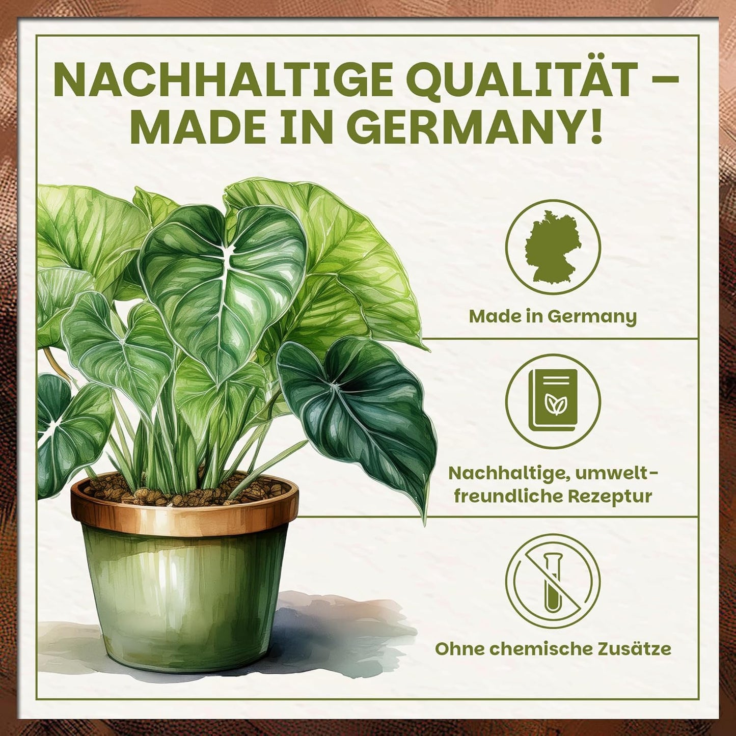Infografik zur nachhaltigen Qualität der Green Home Aroid Erde mit Hinweis auf Made in Germany und chemiefreie Rezeptur