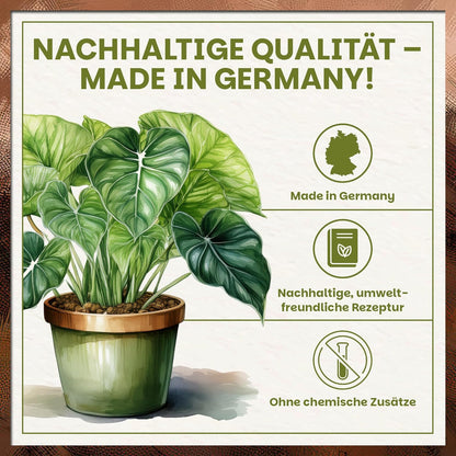 Infografik zur nachhaltigen Qualität der Green Home Aroid Erde mit Hinweis auf Made in Germany und chemiefreie Rezeptur