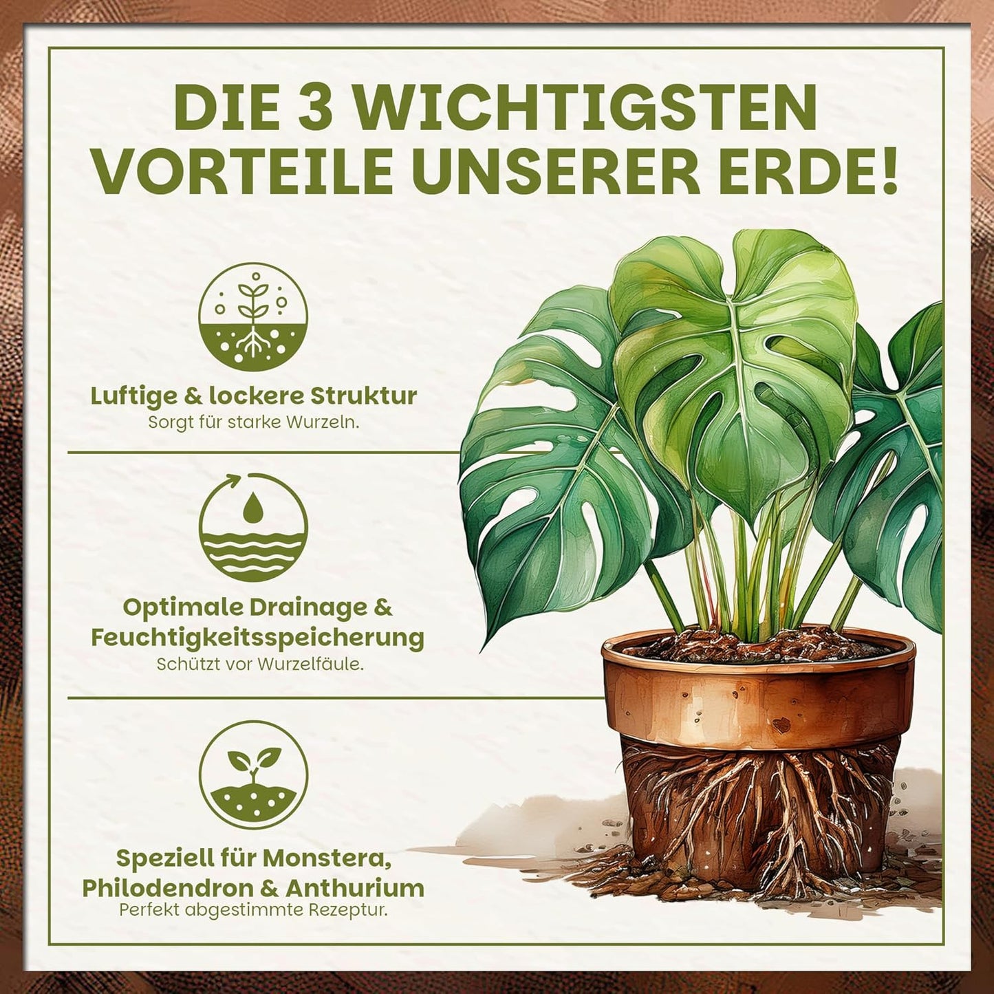 Übersichtsgrafik zu den drei wichtigsten Vorteilen der Green Home Aroid Erde mit Monstera im Topf und sichtbarem Wurzelbereich