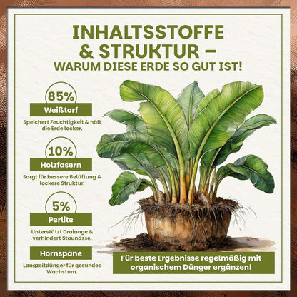 Darstellung der Zusammensetzung der Green Home Bananenerde mit Prozentangaben zu Weißtorf, Holzfasern, Perlite und Hornspänen sowie Illustration einer Bananenpflanze mit Wurzeln.
