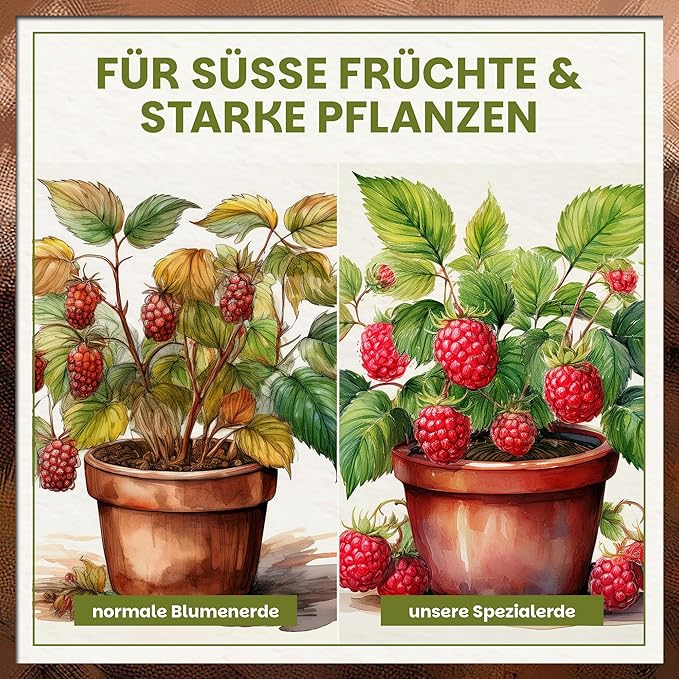 Vergleich normale Blumenerde vs. Green Home Spezialerde für Beeren und Obstpflanzen