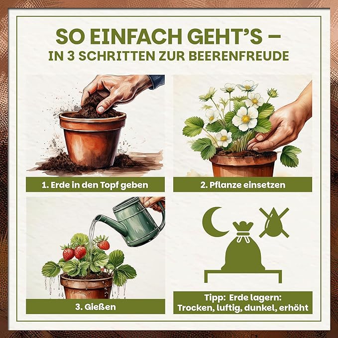 Anwendung der Green Home Beerenobst Erde – Erde einfüllen, Pflanze einsetzen und richtig gießen
