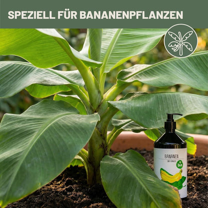 Der Green Home Bio Bananendünger steht neben einer Bananenpflanze im Topf im Garten