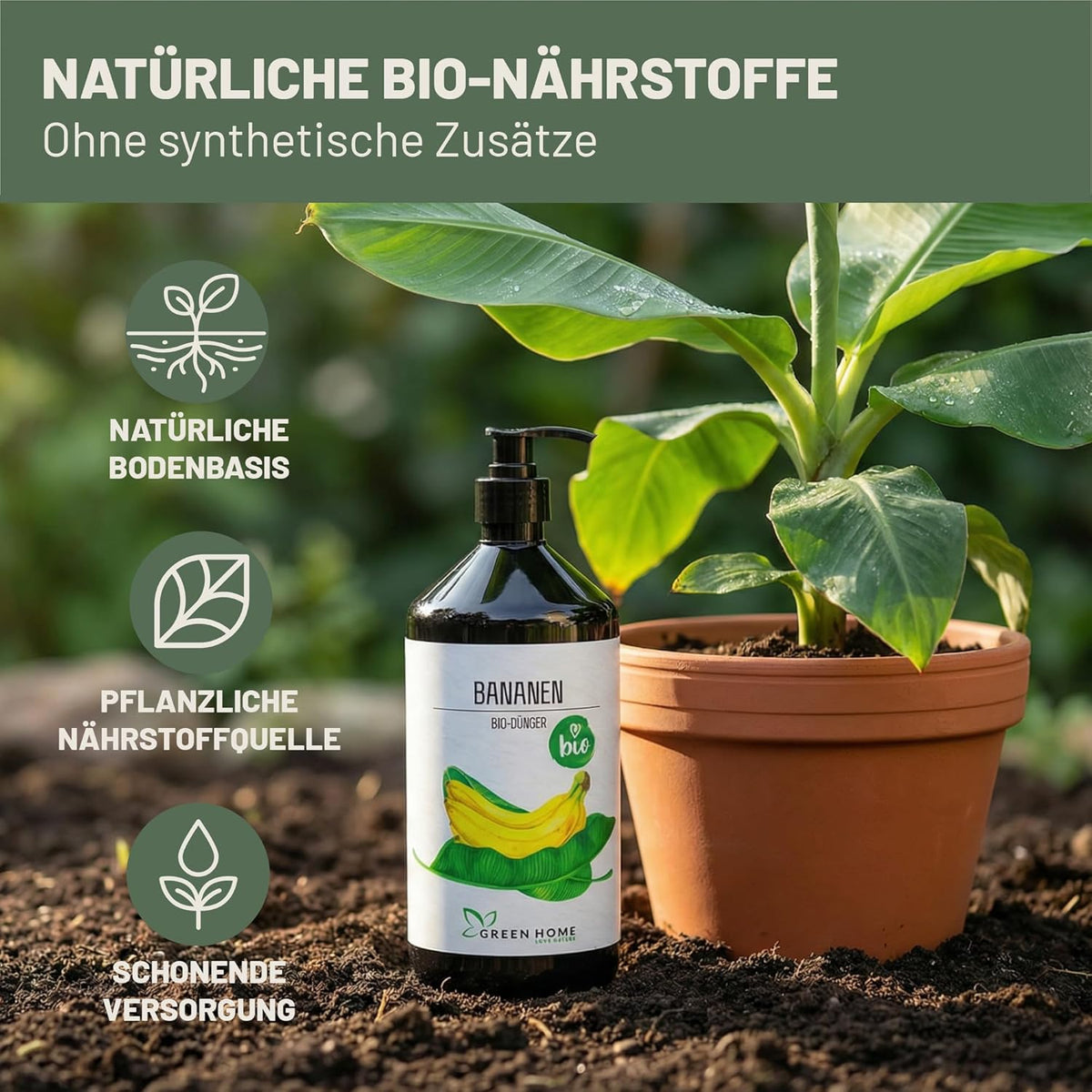Der Green Home Bio Bananendünger steht neben einer jungen Bananenpflanze im Topf auf Erde