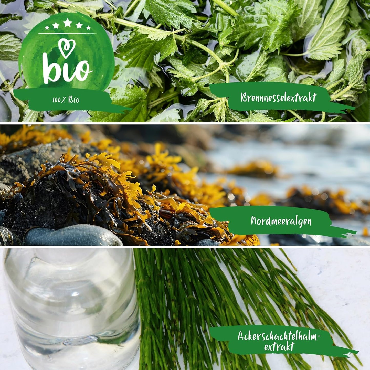Natürliche Inhaltsstoffe wie Brennnesselextrakt, Nordmeeralgen und Ackerschachtelhalmextrakt für nachhaltige Pflanzenstärkung.