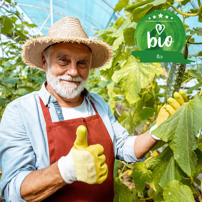 Gärtner im Gewächshaus mit Gurkenpflanze als Anwendungsbeispiel für den Green Home Bio Dünger 1 Liter in Bio-Qualität.