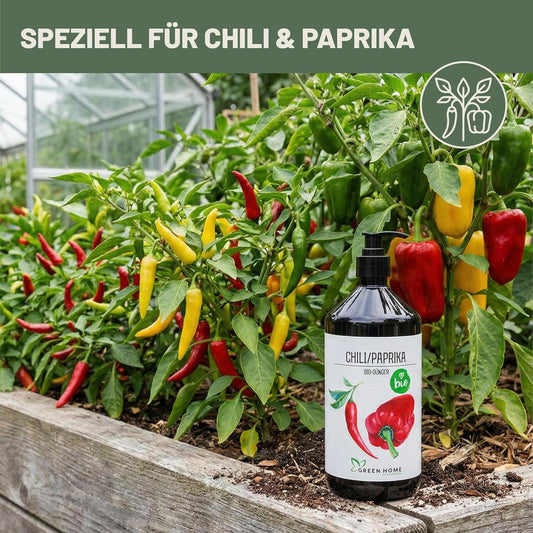 Green Home Bio Dünger Chili Paprika Flasche im Hochbeet zwischen reifen Chili und Paprikapflanzen