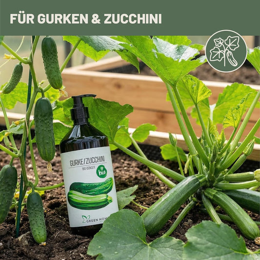 Green Home Bio Dünger für Gurken und Zucchini im Gartenbeet zwischen wachsenden Gurken und Zucchinipflanzen