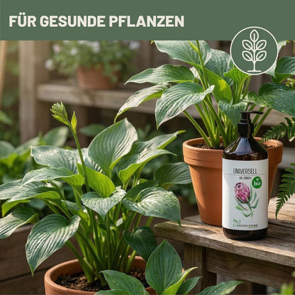 Green Home Bio Dünger Universell neben kräftigen grünen Topfpflanzen mit großen Blättern auf einem Holztisch im Garten