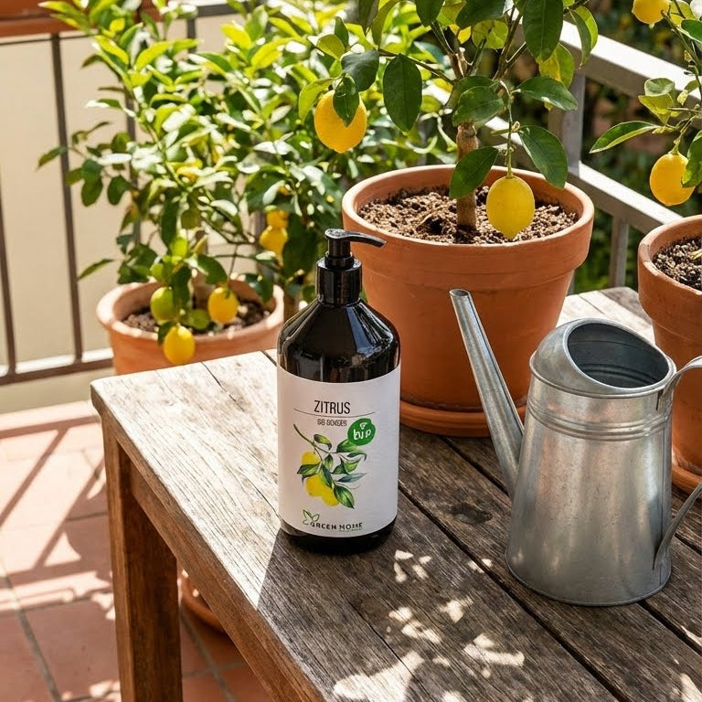 Green Home Bio Dünger Zitrus Flasche auf Holztisch neben Zitronenbaum im Topf und Gießkanne auf dem Balkon.